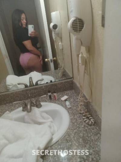 Kylie 29Yrs Old Escort San Jose CA Image - 3