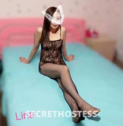 Lina 25Yrs Old Escort Hobart Image - 4