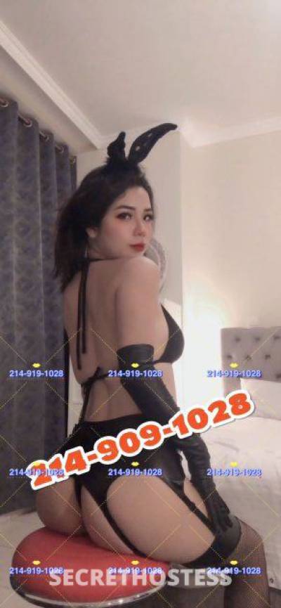 22 Year Old Asian Escort Dallas TX - Image 6