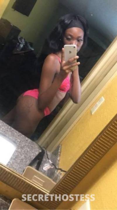 22Yrs Old Escort New Orleans LA Image - 1