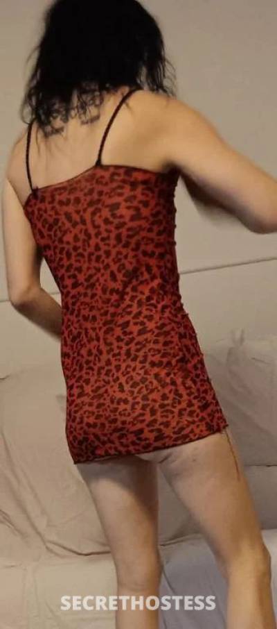 35Yrs Old Escort Size 8 Townsville Image - 1