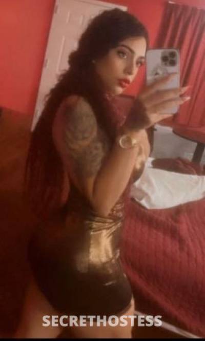 25Yrs Old Escort Bronx NY Image - 2