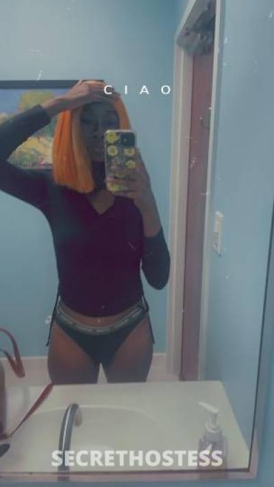 25 year old Haitian Escort in West Palm Beach FL HAITIAN QUEEN Ready for company