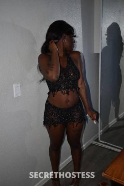 27Yrs Old Escort Miami FL Image - 0