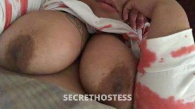 27Yrs Old Escort San Jose CA Image - 3