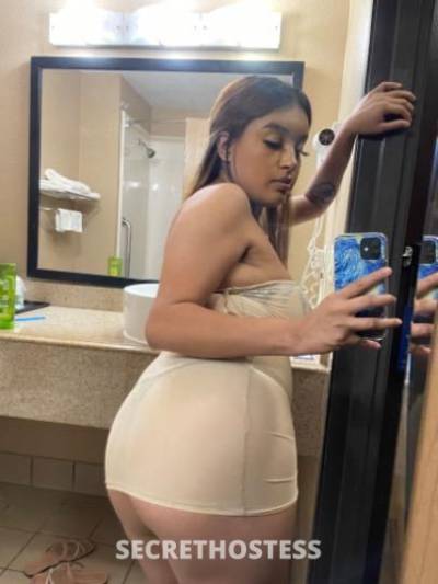 19 year old Escort in Dallas TX porn star titties and ass