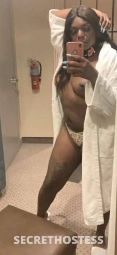 Diamond 24Yrs Old Escort Providence RI Image - 2