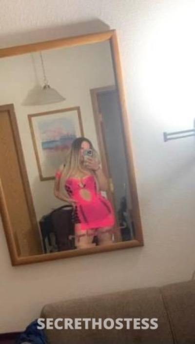 Hailey 24Yrs Old Escort San Fernando Valley CA Image - 3