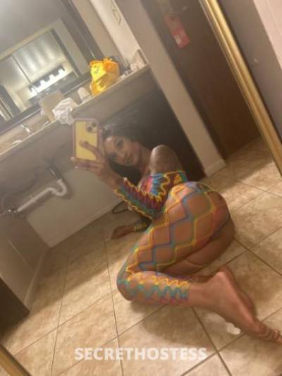 Luna 25Yrs Old Escort San Fernando Valley CA Image - 3