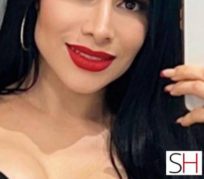 26 year old Latino Escort in Galway West Rosette escort available