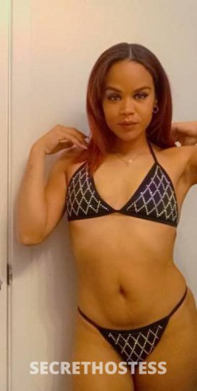 27Yrs Old Escort Miami FL Image - 0