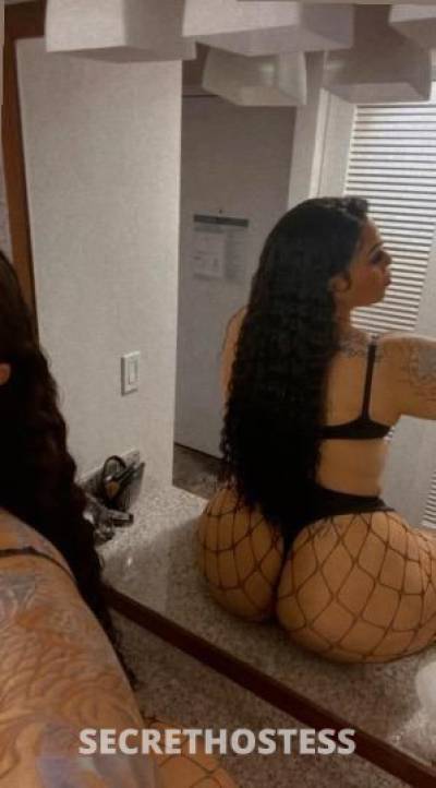 27 year old Middle Eastern Escort in Inland Empire CA Beautiful Middle Eastern GAL