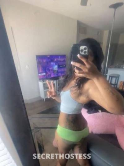 Nina 22Yrs Old Escort Houston TX Image - 2