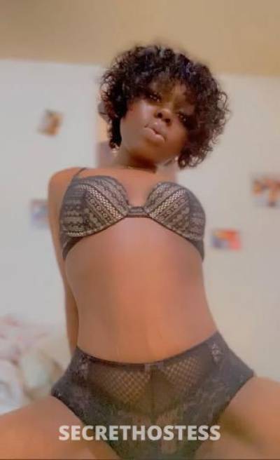 24Yrs Old Escort Bronx NY Image - 2