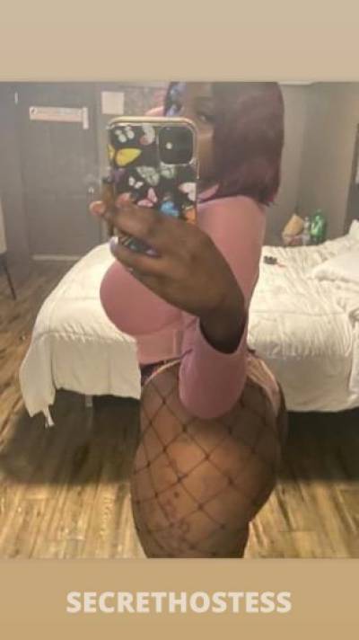 24Yrs Old Escort Bronx NY Image - 0