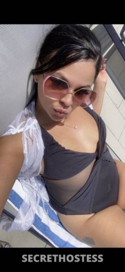 27Yrs Old Escort 160CM Tall Sarasota / Bradenton FL Image - 1