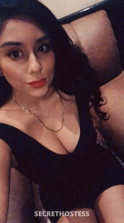 28 year old Escort in Geelong New Girl ! Hungry Pussy Suck Fuck Me hard Text me