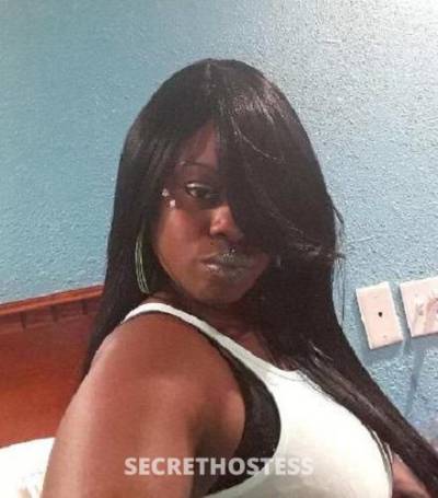 31Yrs Old Escort Plattsburgh NY Image - 0