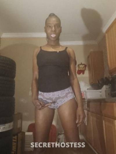 39Yrs Old Escort North Mississippi MS Image - 0