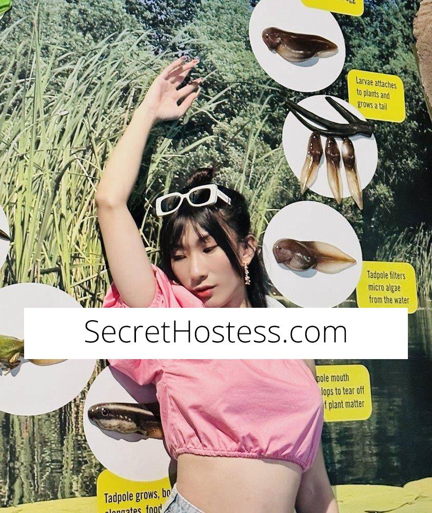 25Yrs Old Escort Size 6 170CM Tall Rockhampton Image - 3