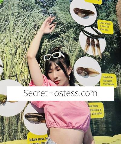 25Yrs Old Escort Size 6 170CM Tall Rockhampton Image - 3