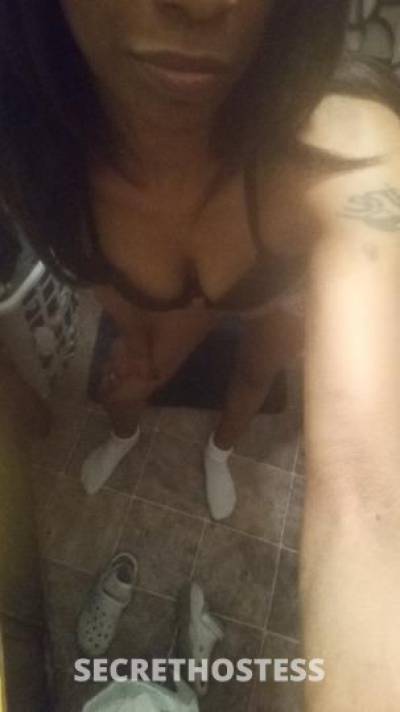 33Yrs Old Escort North Mississippi MS Image - 0