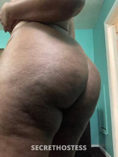 27Yrs Old Escort Baltimore MD Image - 1