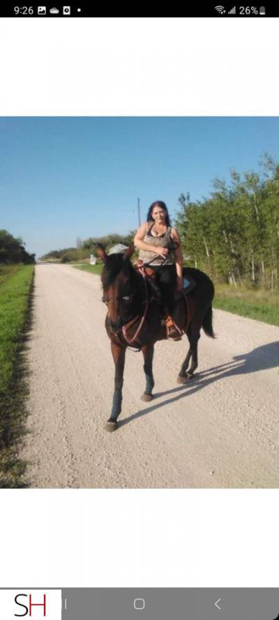 41Yrs Old Escort 157CM Tall Winnipeg Image - 6