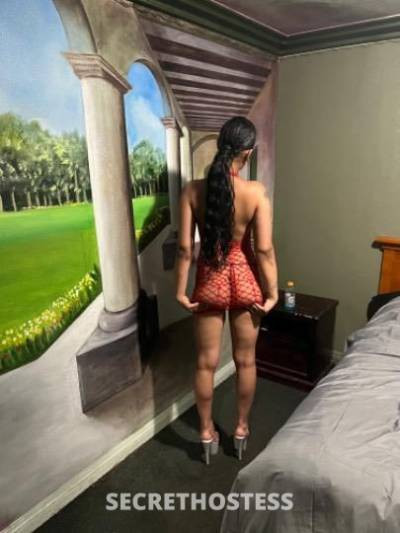 18 Year Old Asian Escort Dallas TX - Image 3