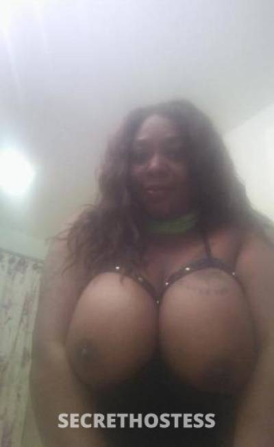 42Yrs Old Escort Daytona FL Image - 1