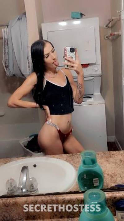 22Yrs Old Escort Houston TX Image - 1