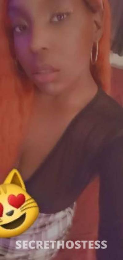 25Yrs Old Escort Houston TX Image - 1