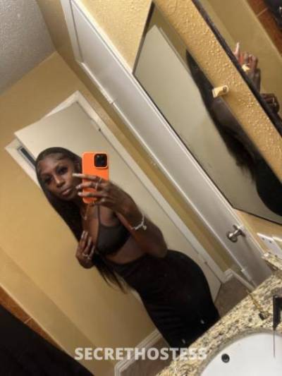 25Yrs Old Escort Houston TX Image - 2