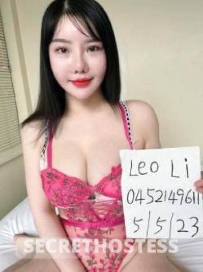 Leo 24Yrs Old Escort Hobart Image - 6