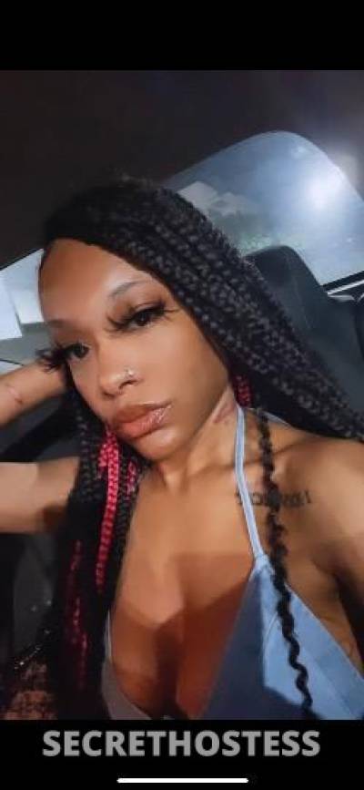 24 year old Escort in Dallas TX puertorican princess Sweet freak the top pick No deposit 