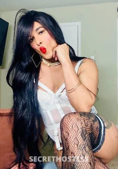 24 year old Escort in Dallas TX trans carolina