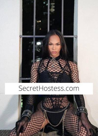 25Yrs Old Escort Size 6 Gold Coast Image - 16