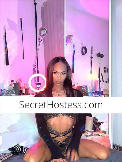 25Yrs Old Escort Size 6 Gold Coast Image - 29