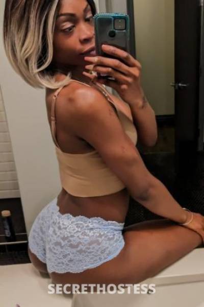 30Yrs Old Escort Dallas TX Image - 2