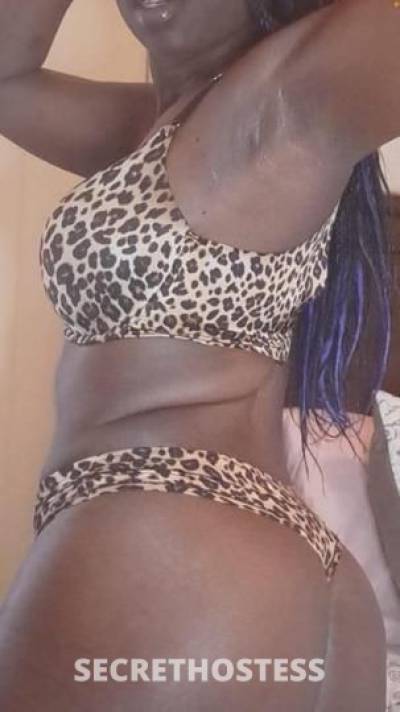 38Yrs Old Escort Newport News VA Image - 0