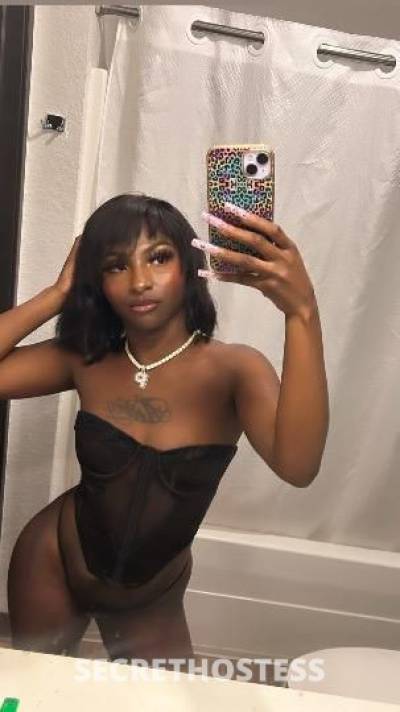 20Yrs Old Escort Tampa FL Image - 1