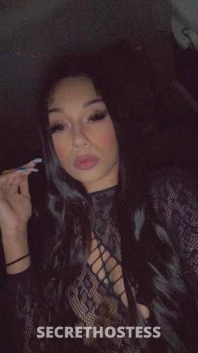25 year old Latino Escort in San Diego CA Your favorite latina
