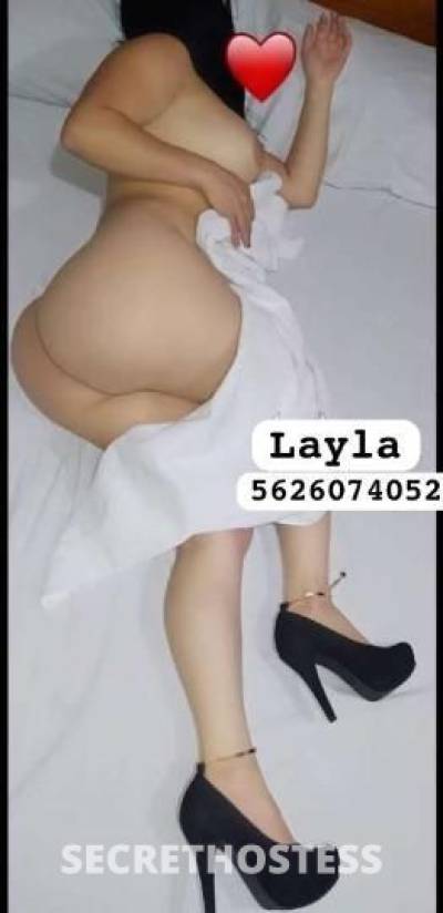 28Yrs Old Escort Los Angeles CA Image - 3