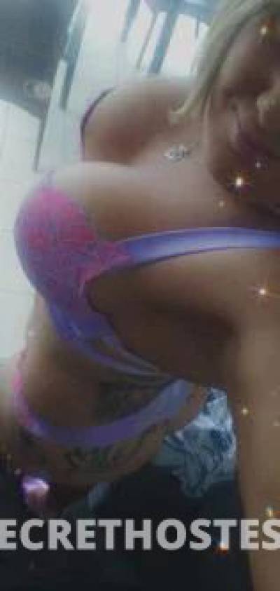 41Yrs Old Escort Sunshine Coast Image - 7