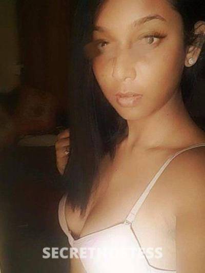 Misha 25Yrs Old Escort Size 8 Perth Image - 1