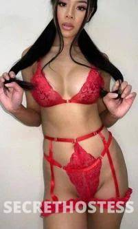 24Yrs Old Escort Size 8 Brisbane Image - 7