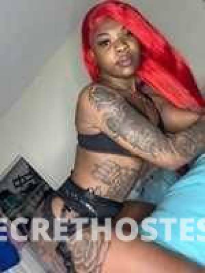 23Yrs Old Escort Norfolk VA Image - 2