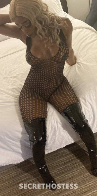 26 Year Old Escort Miami FL Blonde - Image 8