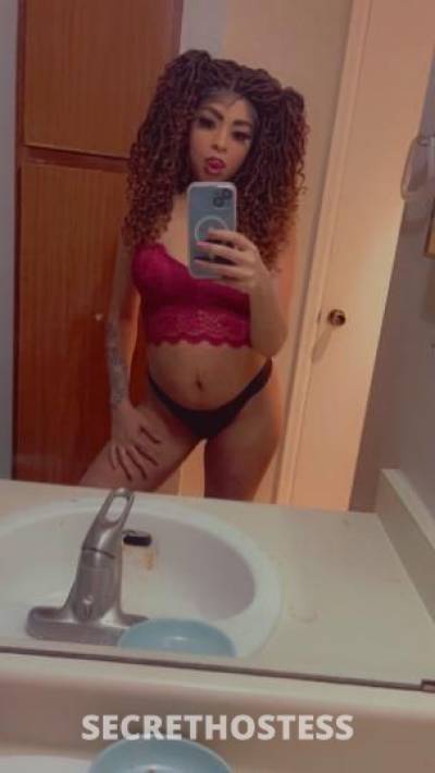 27Yrs Old Escort Denver CO Image - 0