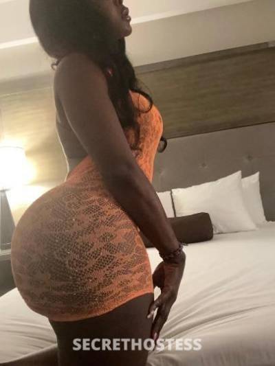 29Yrs Old Escort North Jersey NJ Image - 0